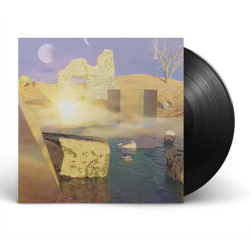 A New Found Relaxation 12" Vinyl (Black)