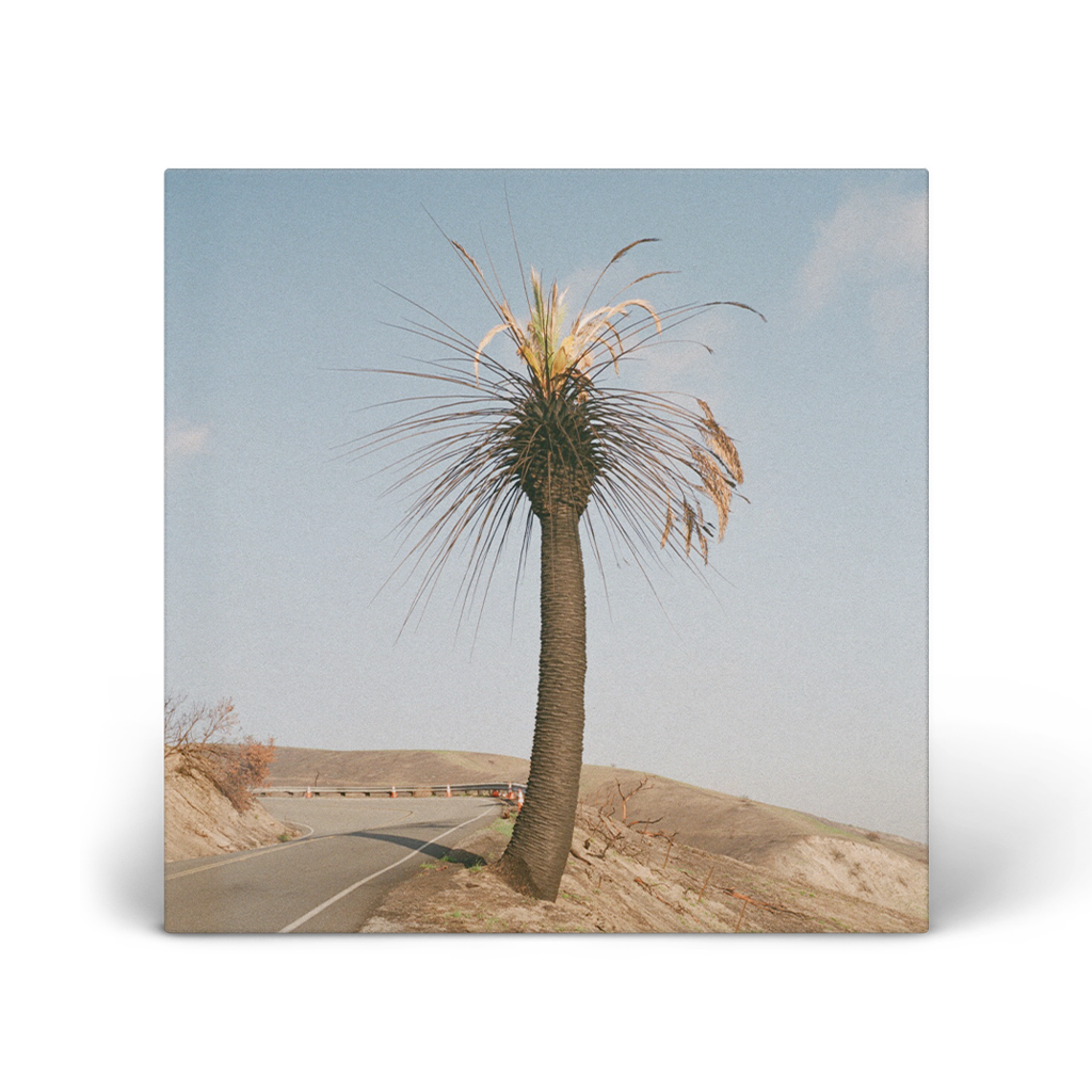 Passional Relations - Digital Download