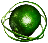 206319.png