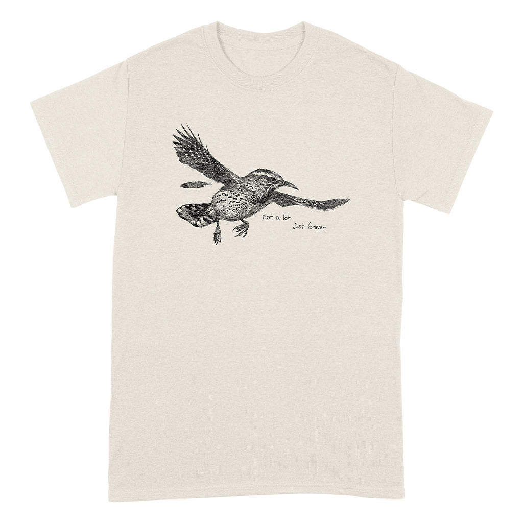 Apparel Big Thief