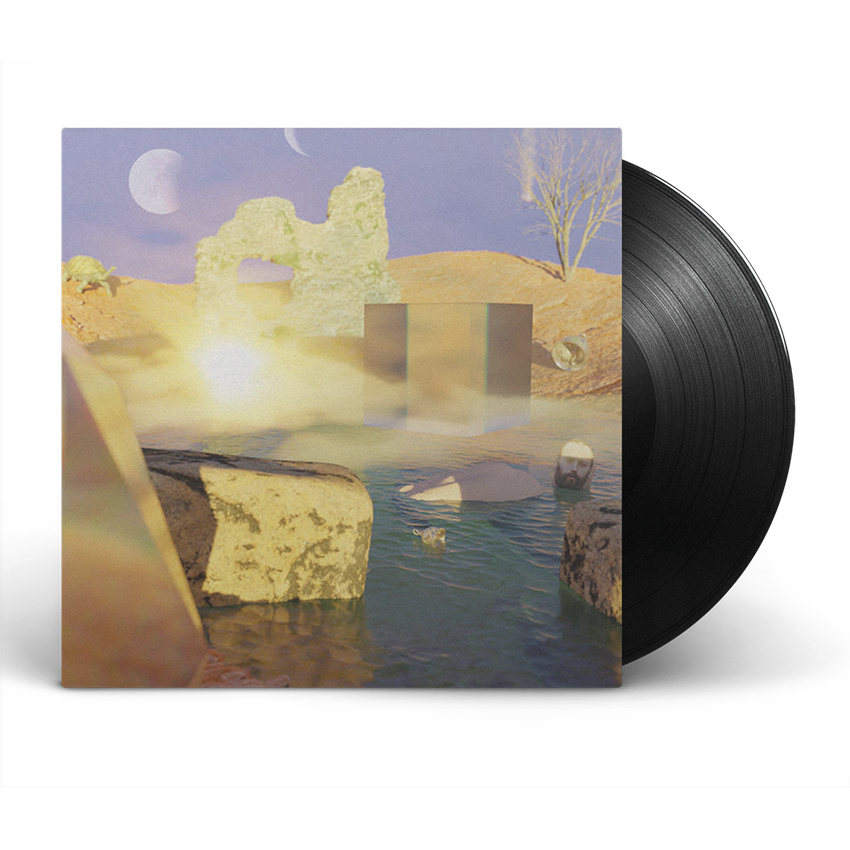 A New Found Relaxation 12&quot; Vinyl (Black)