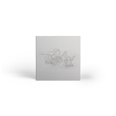 big-thief-dragon-new-warm-